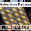 Gelée Orale Kamagra cialis2